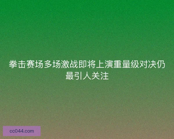 拳击赛场多场激战即将上演重量级对决仍最引人关注