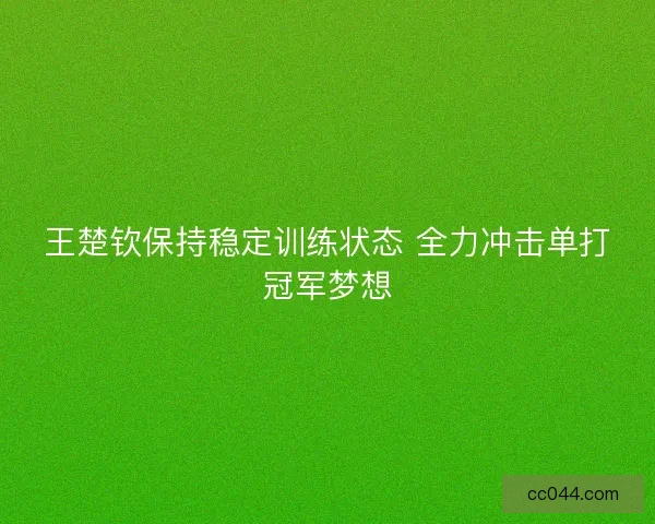 王楚钦保持稳定训练状态 全力冲击单打冠军梦想