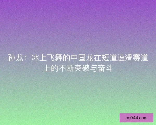 孙龙：冰上飞舞的中国龙在短道速滑赛道上的不断突破与奋斗